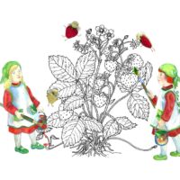 Toomet, Tiia. „Vingus näoga klouni pihtimus”, 2017, segatehnika