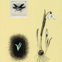 Jaanus Vaiksoo. "Kolm sügist", 2017, ofort, tušš, guašš